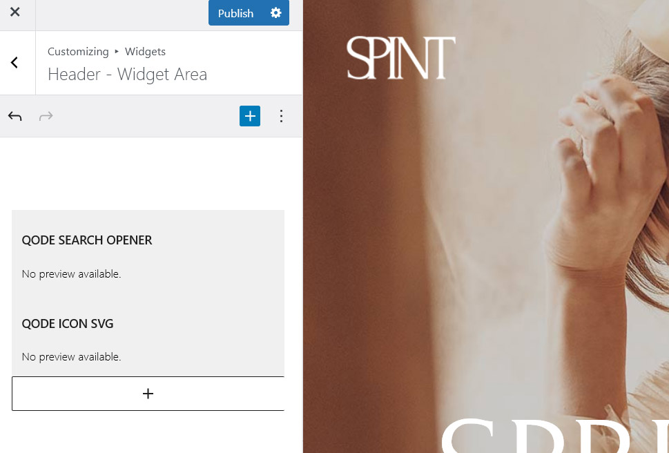 Başlık Widget Alanı